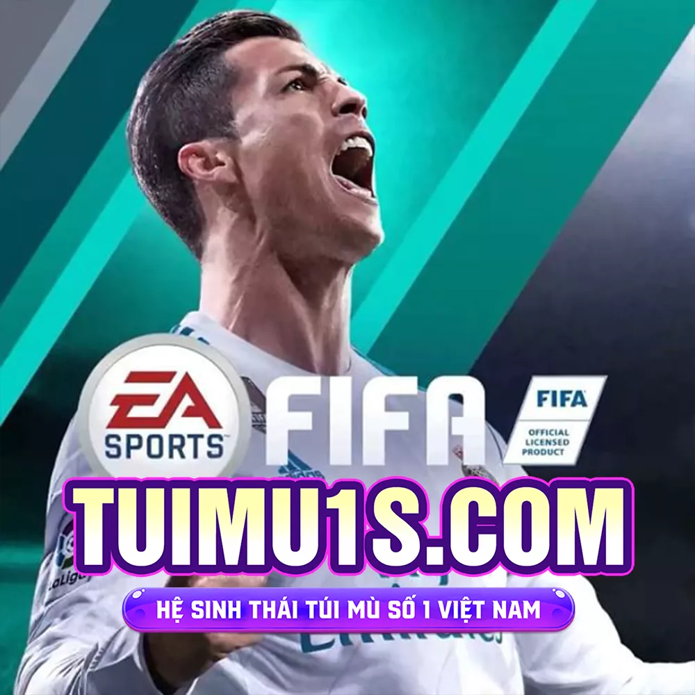 TÚI MÙ FIFA ONLINE