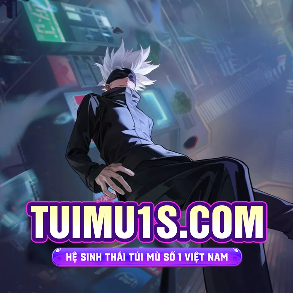 TÚI MÙ SSS/ANIME THEO TƯỚNG